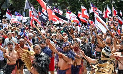 Bill to reinterpret founding treaty with Māori would make New Zealand a ‘laughing stock’, MPs told