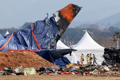 Duck DNA, bird feathers found in ill-fated Jeju Air jet engines: Probe