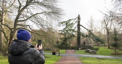 Power and transport disruption continues after Storm Eowyn batters Scotland