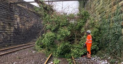 ScotRail issues service update amid Storm Eowyn clean up