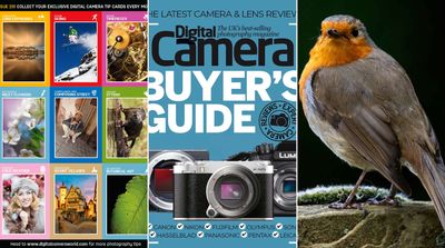 Your Digital Camera 291 download