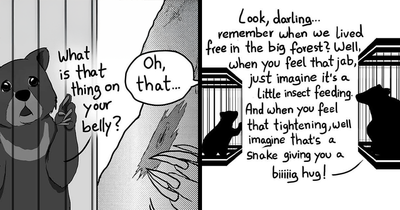 This Artist Creates Emotional Animal Comics That Might Bring A Tear To Your Eye (4 New Stories)