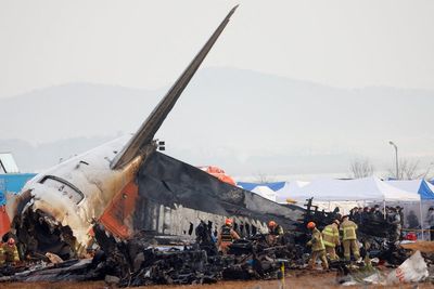 Jeju Air crash investigation finds new evidence suggesting bird strikes caused disaster