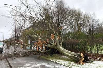 Storm Eowyn is a warning ‘climate change is with us’, says First Minister