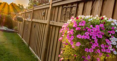 Here is what side of the garden fence you are responsible for in the UK