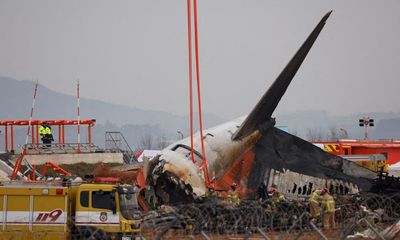 Bird remains found in both engines of crashed Jeju Air jet, report says