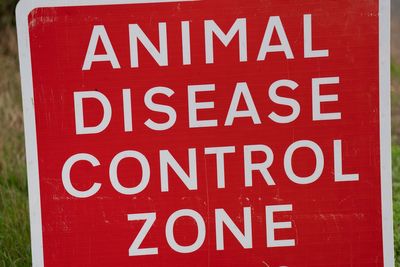 Human case of bird flu detected in England