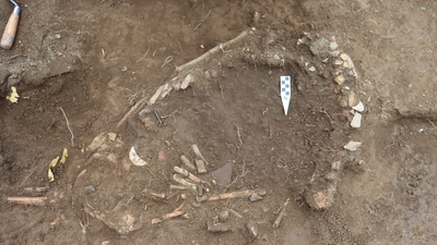 1,200-year-old remains of dismembered pregnant woman in Ecuador hint at 'enigmatic' sacrifice to thwart El Niño