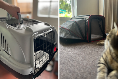 10 best cat carriers, tried and tested by pet owners
