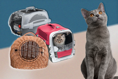 10 best cat carriers for transporting your furry friend, reviewed by pet owners