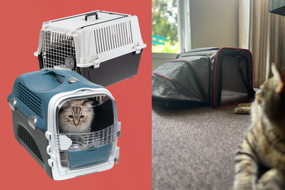 10 best cat carriers for transporting your furry friend, reviewed by pet owners
