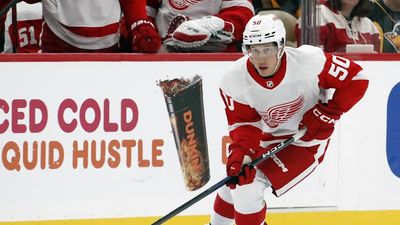 Red Wings' Dominik Shine, 31, Making NHL Debut After Nine Seasons in AHL