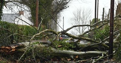 Calls for more protections for people working in extreme weather after Storm Eowyn