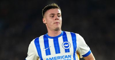 Celtic 'join the race' to sign Brighton star Evan Ferguson