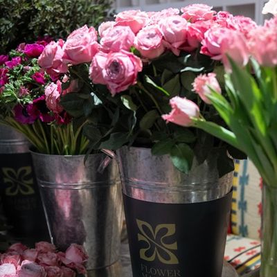 Marks & Spencer has combined the best parts of a rose and peony to launch an exclusive new flower – I got a sneak peek at the beautiful bloom