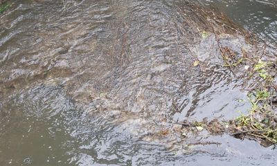 Water firm river pollution fines must be spent on rivers, MPs to say