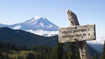 "This breaks my heart" – thru-hikers on the Pacific Crest Trail banned from crossing border into Canada