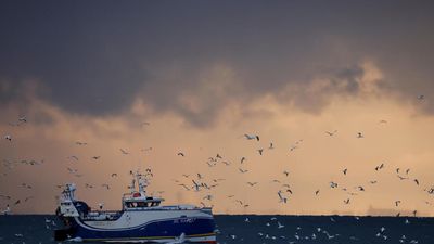 EU and UK clash in first post-Brexit legal battle over North Sea fishing ban