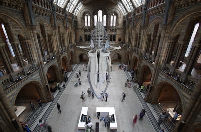 Public urged to stay away from three major London museums for a month as staff go on strike