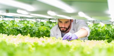 Five reasons why vertical farming is still the future, despite all the recent business failures