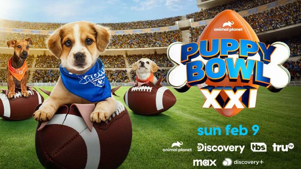 Puppy Bowl 2025 date, dogs and everything we know…