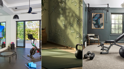 How to make a home gym look more expensive – 7 expert strategies for luxurious style in a practical space