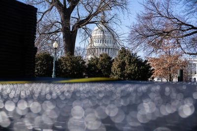 Suspect at Capitol with Molotov cocktails was targeting Trump’s Cabinet picks