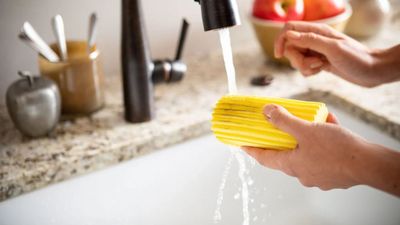 6 'fun' ways professional cleaners put a Damp Duster to work around the house (spoiler alert – these handy sponges can do more than clear dust)