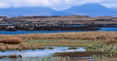 ‘Stunning’ 11-acre croft put up for lease by Scottish island community firm