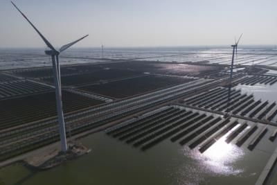 China Leads Global Renewable Energy Expansion In 2024