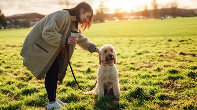 Trainer shares simple steps to take if your dog’s finding things difficult when you’re out walking