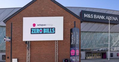 How does Octopus Energy's Zero Bills tariff work?