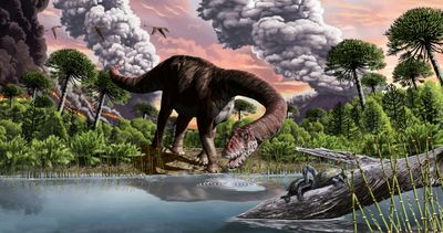 Rare Fossilized Vomit From The Age Of Dinosaurs Unearthed In Denmark
