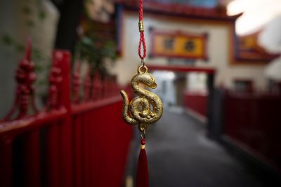 My mom owns her year of the snake traits