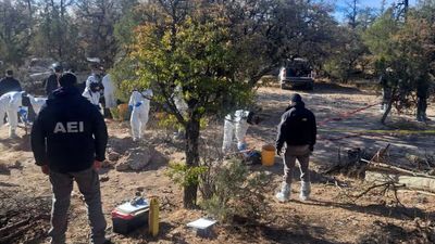 Body Count At Mass Gravesites Linked to Cartel Violence Tops 70