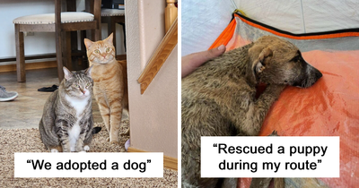 88 Wholesome Pics Of Newly Adopted Animals In January To Make You Say “Aww”