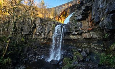 Country diary: A shivering walk with a dramatic climax