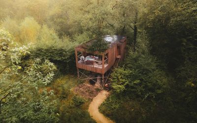 The French treehouse that offers the perfect digital detox — plus three other bucolic offline retreats