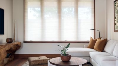 How to Clean Fabric Blinds — Because They Look Great, but They're the Hardest to Keep Looking That Way