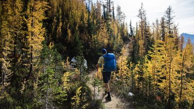 Cost to thru-hike world-famous long-distance Pacific Crest Trail doubles in a decade - and now tops $10,000