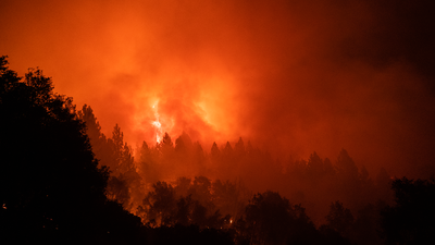 Want to help restore neglected and fire-damaged California trails? Volunteers are desperately needed right now