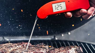 I tested this no-nonsense meat thermometer and it's super fast and accurate