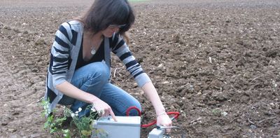 Carbon capture in Mediterranean soil: how farmland can trap greenhouse gases