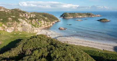 Scottish island woodland 'doubles in 30 years' after being left to regenerate