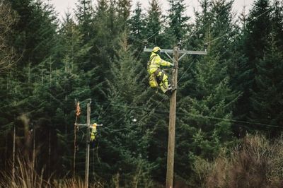 Power restored to all properties in Scotland after Storm Eowyn