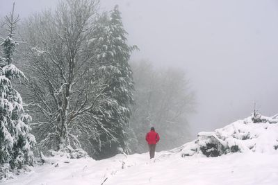 UK weather: Snow blizzards to sweep parts of country as London faces cold snap