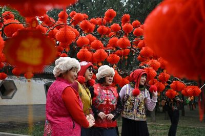 Embracing The Year Of The Snake: A Guide To Celebrating Lunar New Year 2025