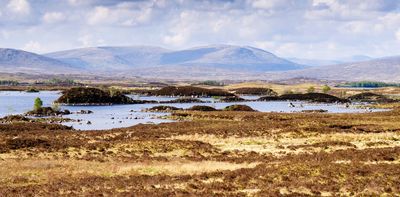 Most of Britain’s peat bogs could stop forming new peat as the climate changes – new study