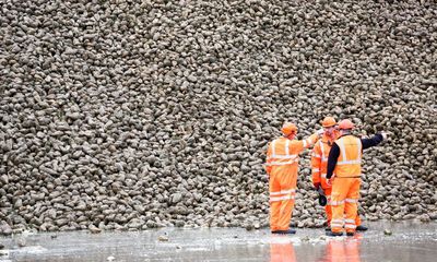 Good for Britain’s neonicotinoid ban, giving bees priority over sugar beet