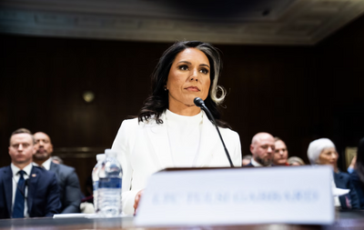 Trump Nominee Tulsi Gabbard Claims She Was Put on a 'Secret Domestic Terror Watch List' After Publicly Criticizing Kamala Harris' Presidential Nomination